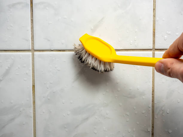 Best Black Mold Removal  in Hughesville, MD