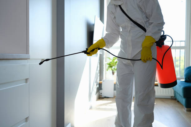 Best Office Mold Removal Services  in Hughesville, MD
