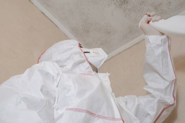 Best Fast Mold Removal  in Hughesville, MD